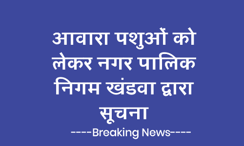 आवारा पशुओं को लेकर नगर पालिक निगम खंडवा द्वारा सूचना